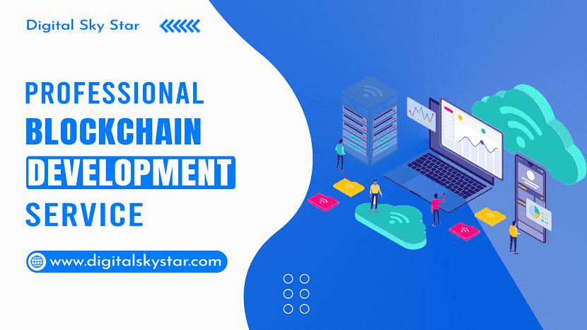 Professional Blockchain Development Service