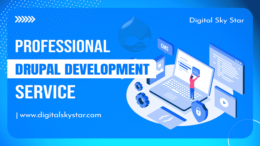 Professional Drupal Development Service