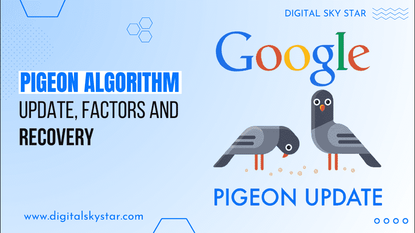 Pigeon Algorithm Update, Factors and Recovery